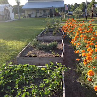 Vegetable Gardening Tips for making great Gardens