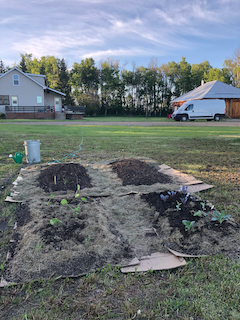 Bed ready in Lasagna Garden