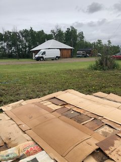 cardboard layer for lasagna garden