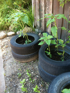 Old tire containers