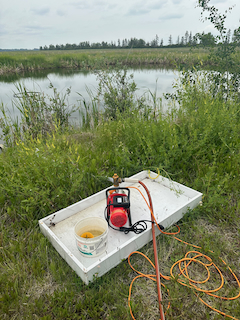 Pump water from pond