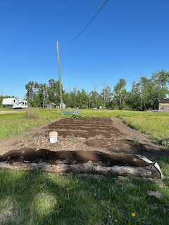 Soil beds for growing veggies